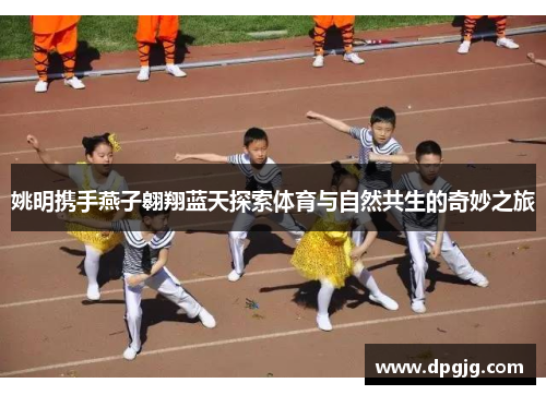 姚明携手燕子翱翔蓝天探索体育与自然共生的奇妙之旅
