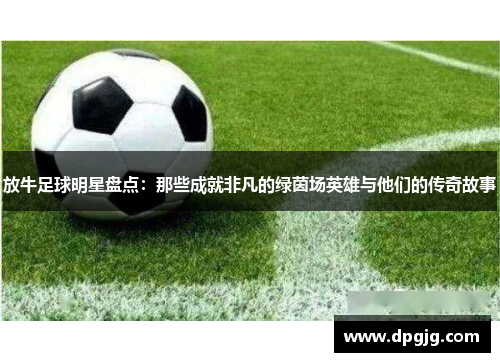 放牛足球明星盘点：那些成就非凡的绿茵场英雄与他们的传奇故事